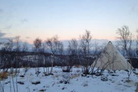 What to do in Abisko