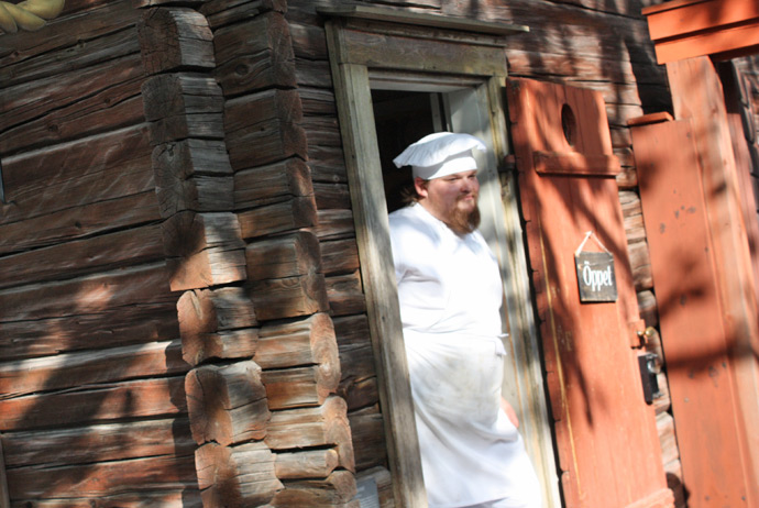 Skansen is one of the best attractions for kids in Stockholm