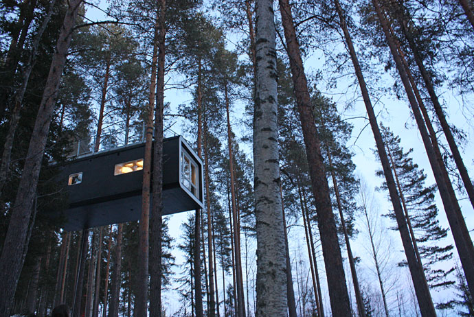 The Treehotel in Sweden is an unusual honeymoon destination