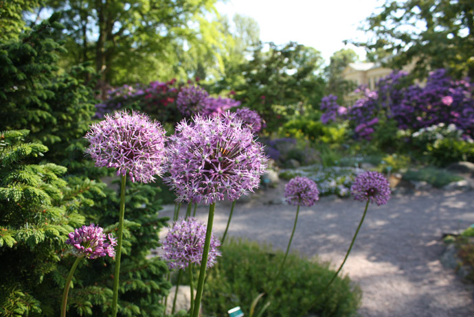 The botanical gardens in Lund are free to visit