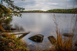 Head to Delsjön in Gothenburg for free swims