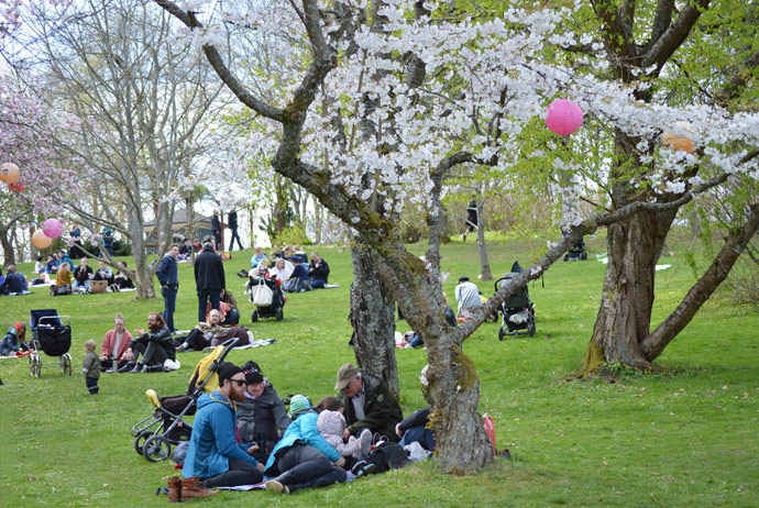 The botanical gardens in Gothenburg has a Japanese festival