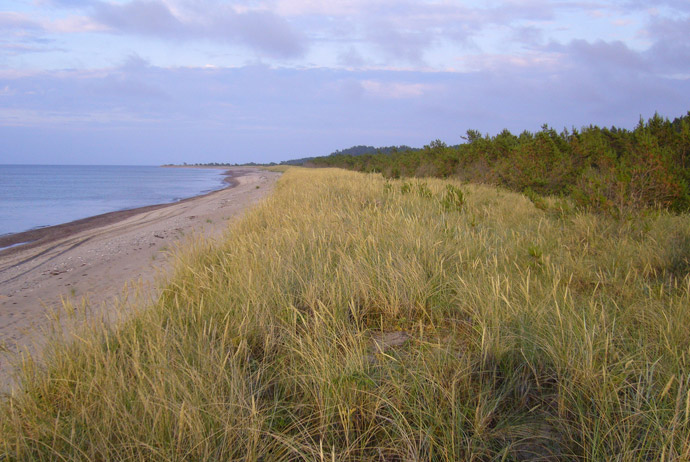 Gotska Sandön