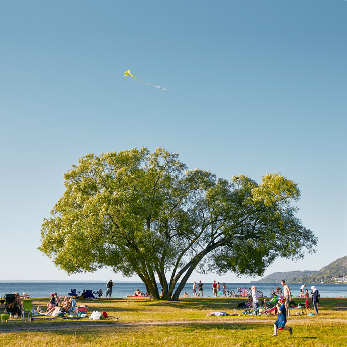 The Broccoli Tree has made it big on Instagram