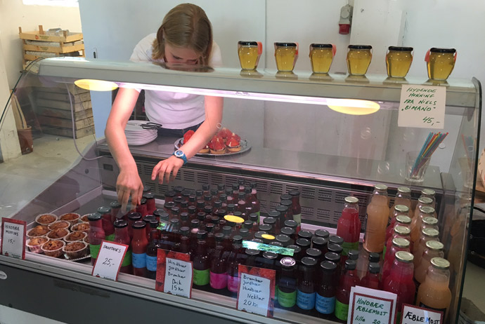 Rokkedyssegaard strawberry farm, Denmark