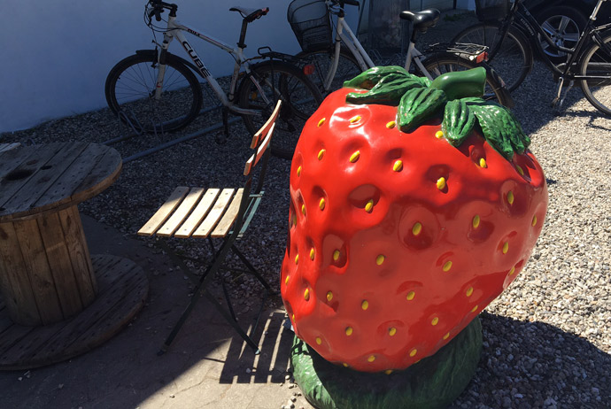 Strawberries near Copenhagen