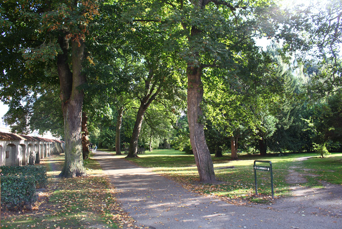 Assistens Cemetery is a nice spot for a walk in Nørrebro, Copenhagen