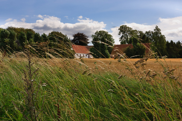 Working on a farm in Denmark is a good way to volunteer