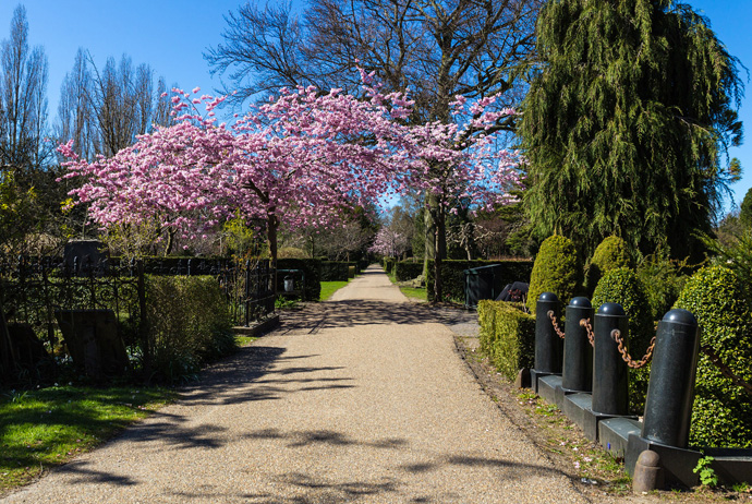 Assistens Cemetery is a great park in Copenhagen