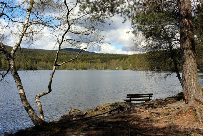 Nordmarka is a free nature area near Oslo 