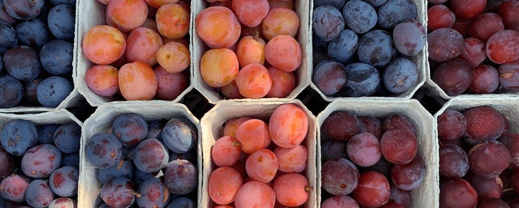 plums in baskets