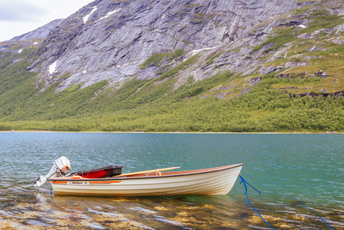 Reindeer herds in Norway