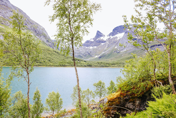 The fjord near Fauske, Norway