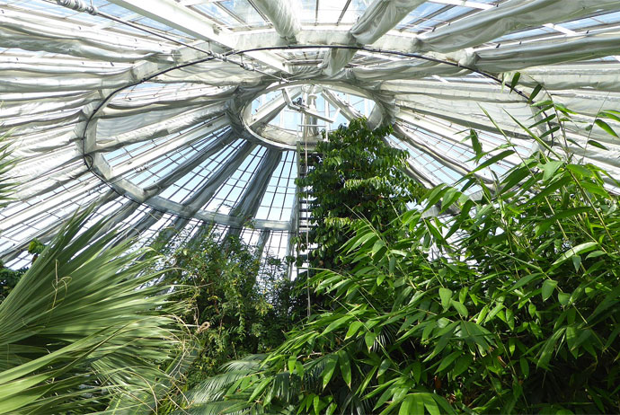 The palm house in Copenhagen is a great place to warm up in winter