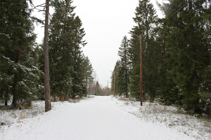 One of the ski trails near Oslo