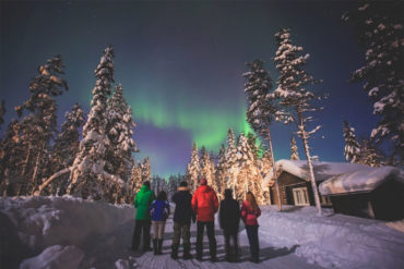 Northern lights wildlife tour in Swedish Lapland