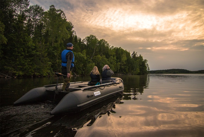 Join a beaver safari in rural Sweden