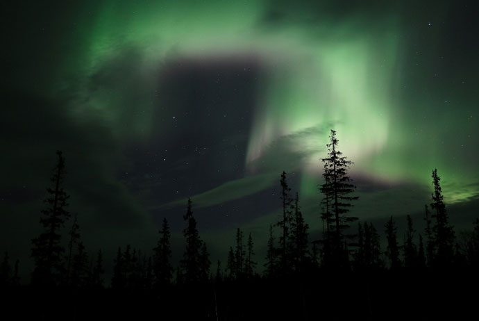 You can combine seeing the northern lights with a nice nature tour