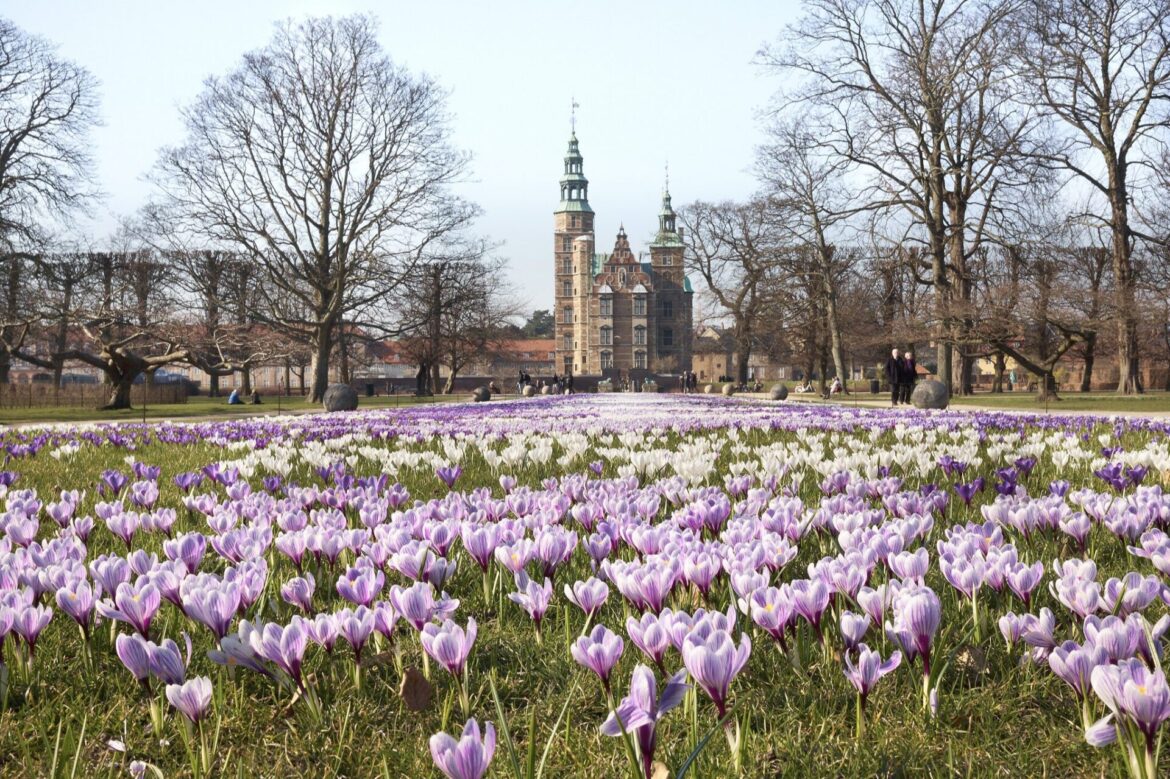 Best time to visit Denmark: weather, seasons and travel tips - Routes North