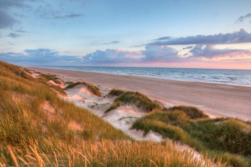 beach with dunes sunset