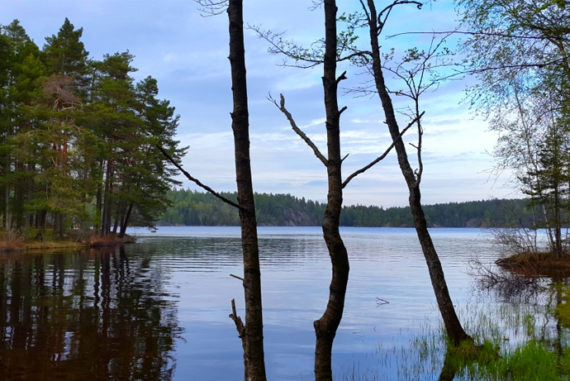 Guided nature hike from Stockholm