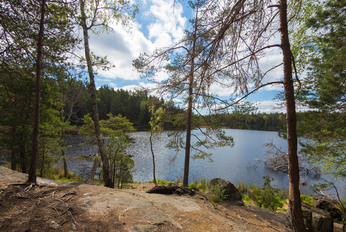 Tyresta National Park is a good place for hiking near Stockholm