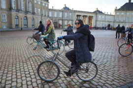 Three-hour bike tour in Copenhagen!