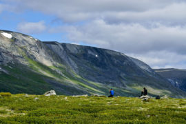 The Dovrefjell-Sunndalsfjella national park is one of Norway's most beautiful areas