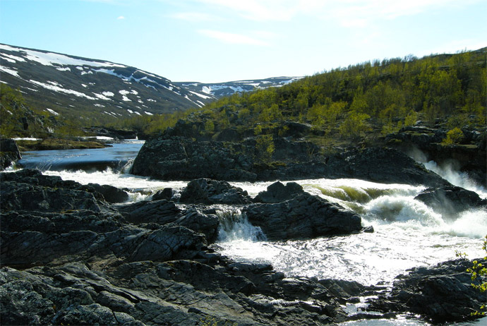 Stabbursdalen national park in Norway