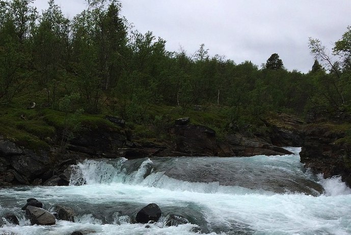 Abisko Wilderness