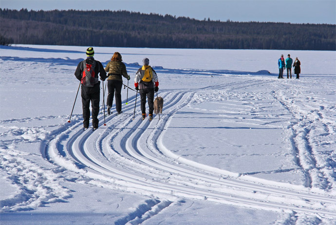 Dalarna is a good winter sports destination