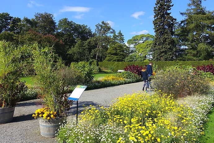 Butterlies flock to Stockholm's Bergius Botanical Garden in spring