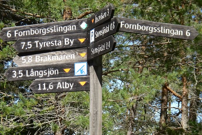 You may spot deer and hares at Tyresta National Park near Stockholm