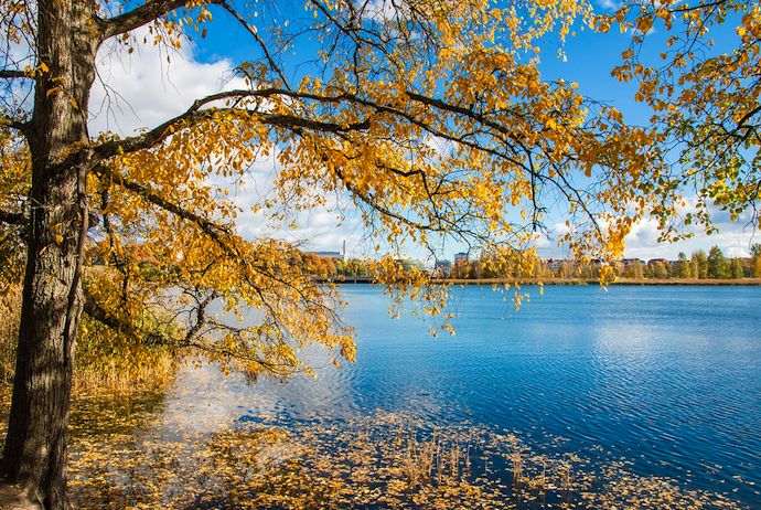 Autumn leaves in Töölö Bay, Helsinki