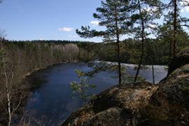 Nuuksio National Park Half-Day Trip from Helsinki