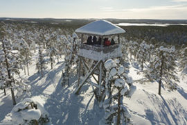 Wilderness Tour in Rovaniemi