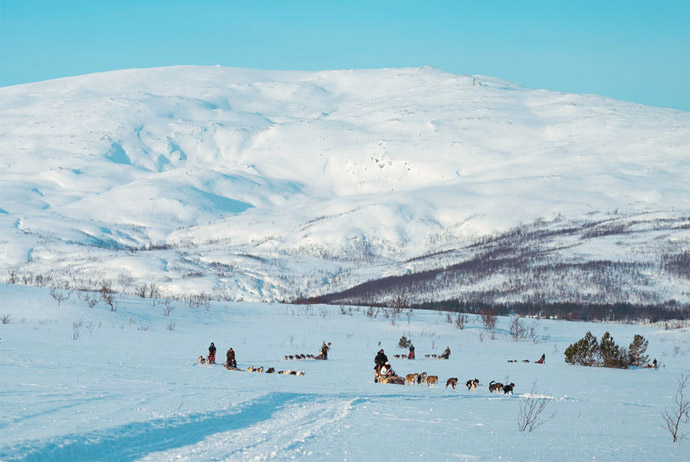 Dog sledding is a classic Norway tour