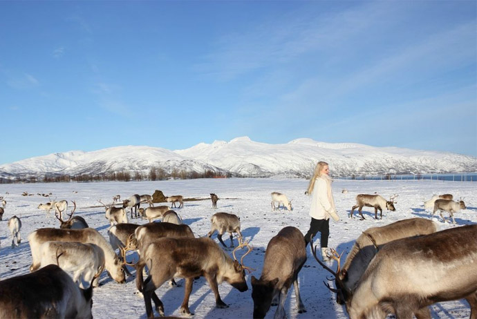 Try this Sami cultural tour in Norway