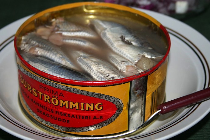 Surströmming, fermented herring from Sweden