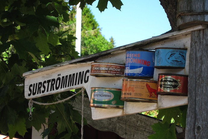 Surströmming is a speciality of northern Sweden