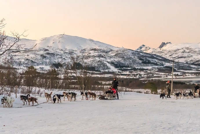Dog-sledging, Norway