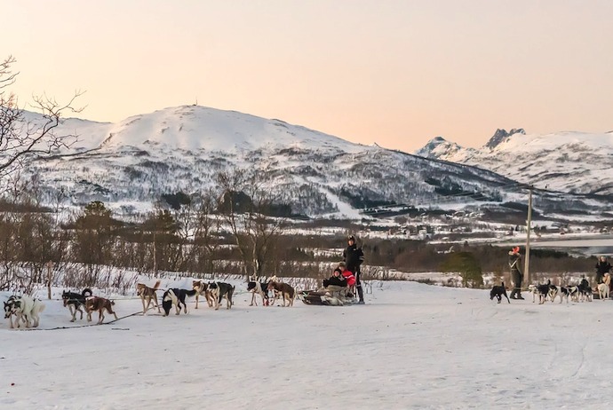 Dog-sledging, Norway