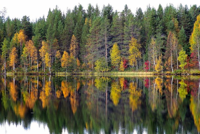 Finland in autumn