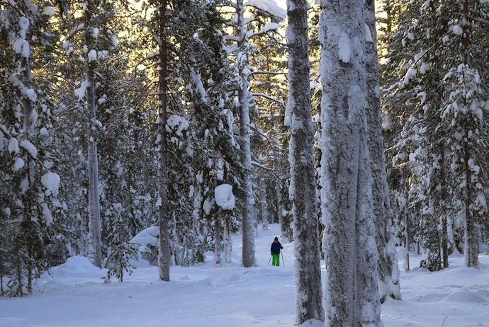 Finnish Lapland is a great place to visit in winter