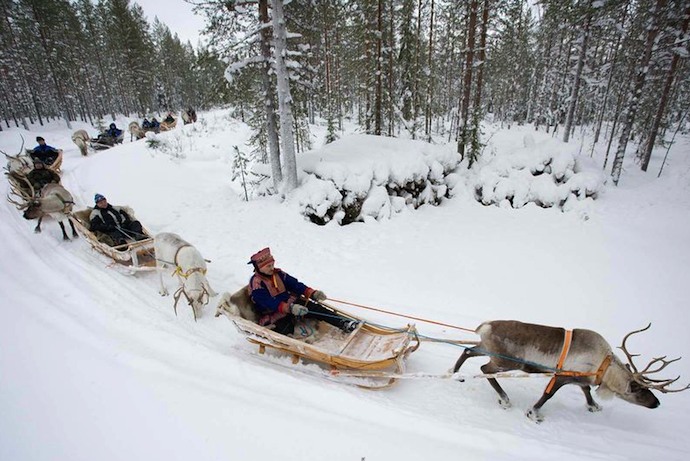 Reindeer sleigh ride in winter in Finland