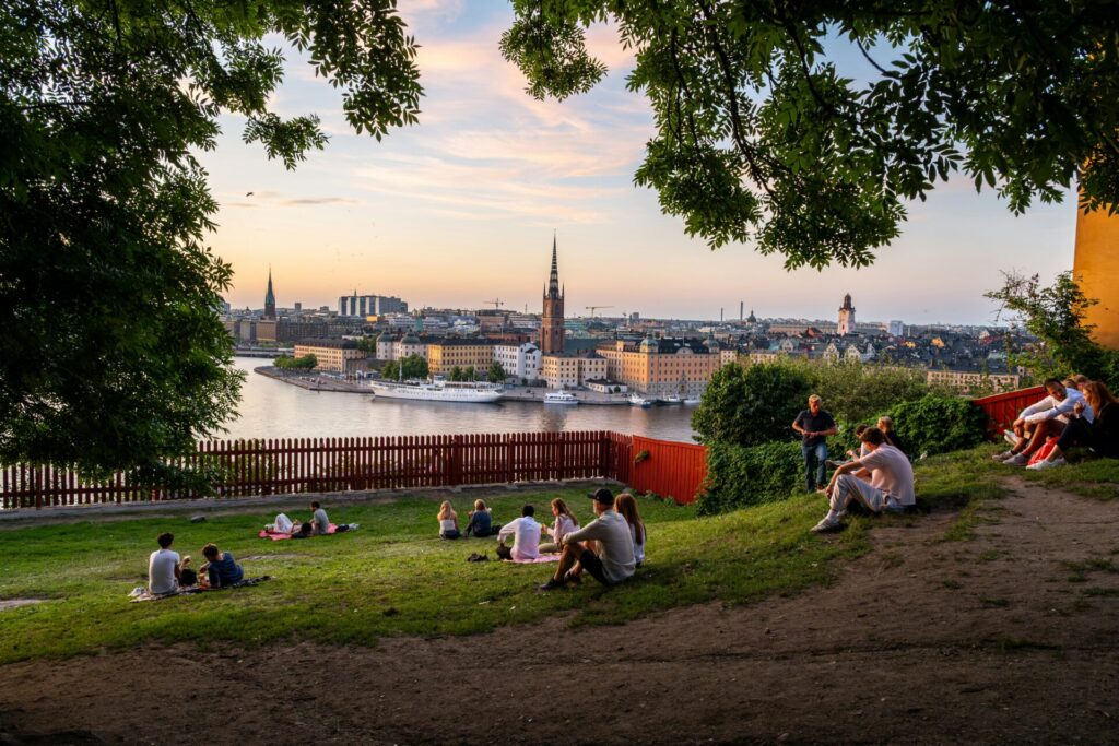 people on the grass with a view of the city