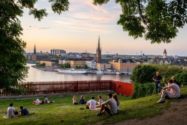 people on the grass with a view of the city