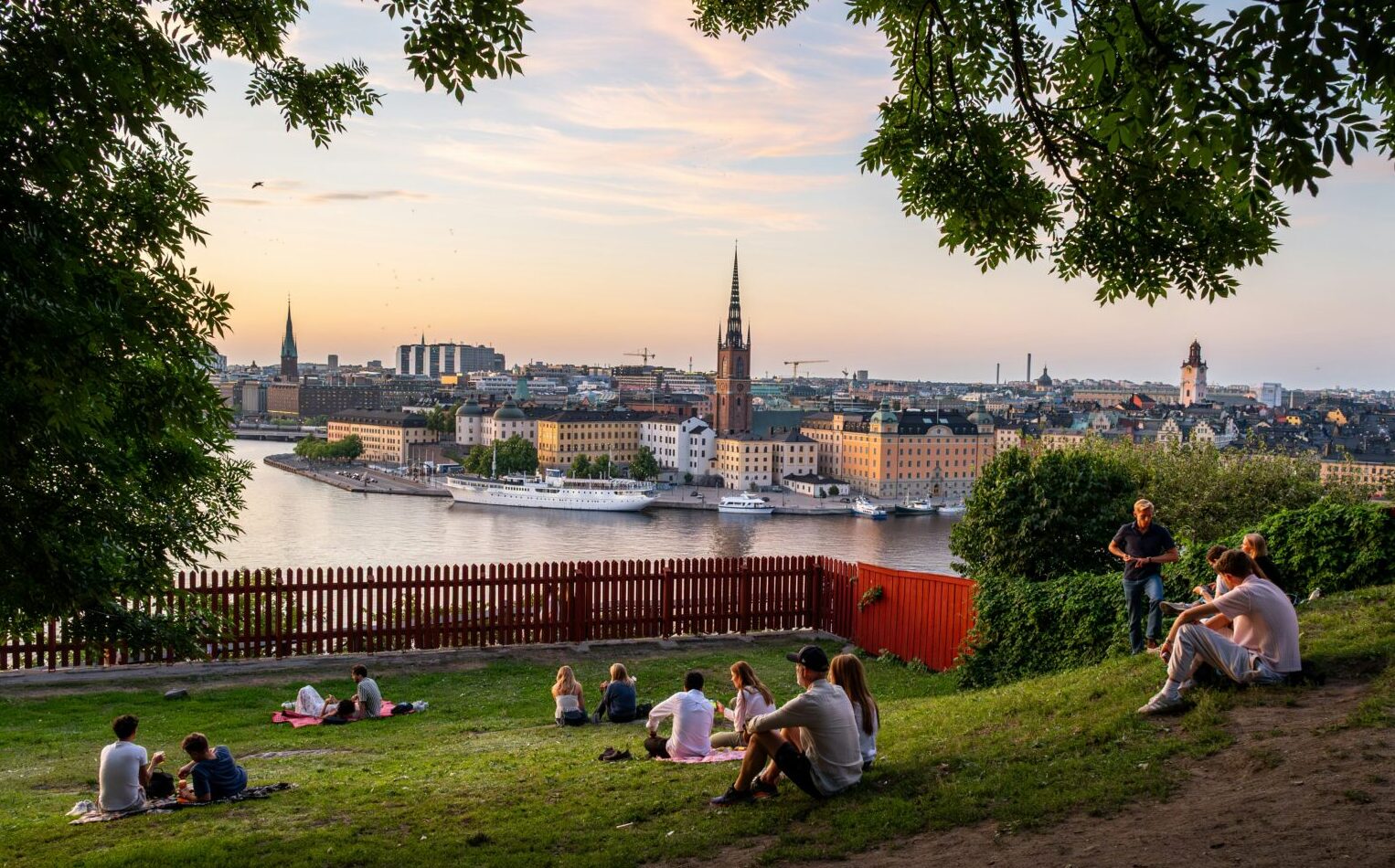 people on the grass with a view of the city