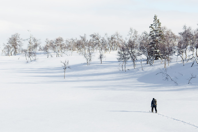 Travelling solo in Scandinavia