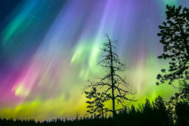 You can see the northern lights for free in Swedish Lapland